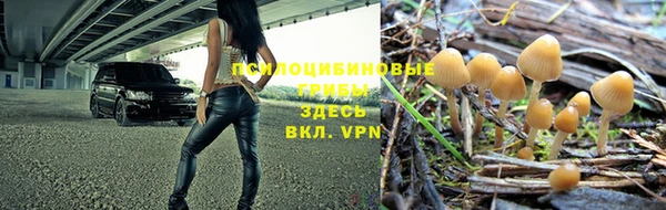 сатива Абинск