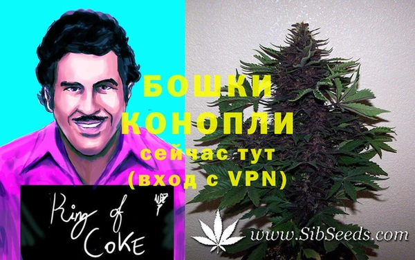 крисы Пересвет